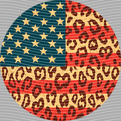 USA-MG 3872